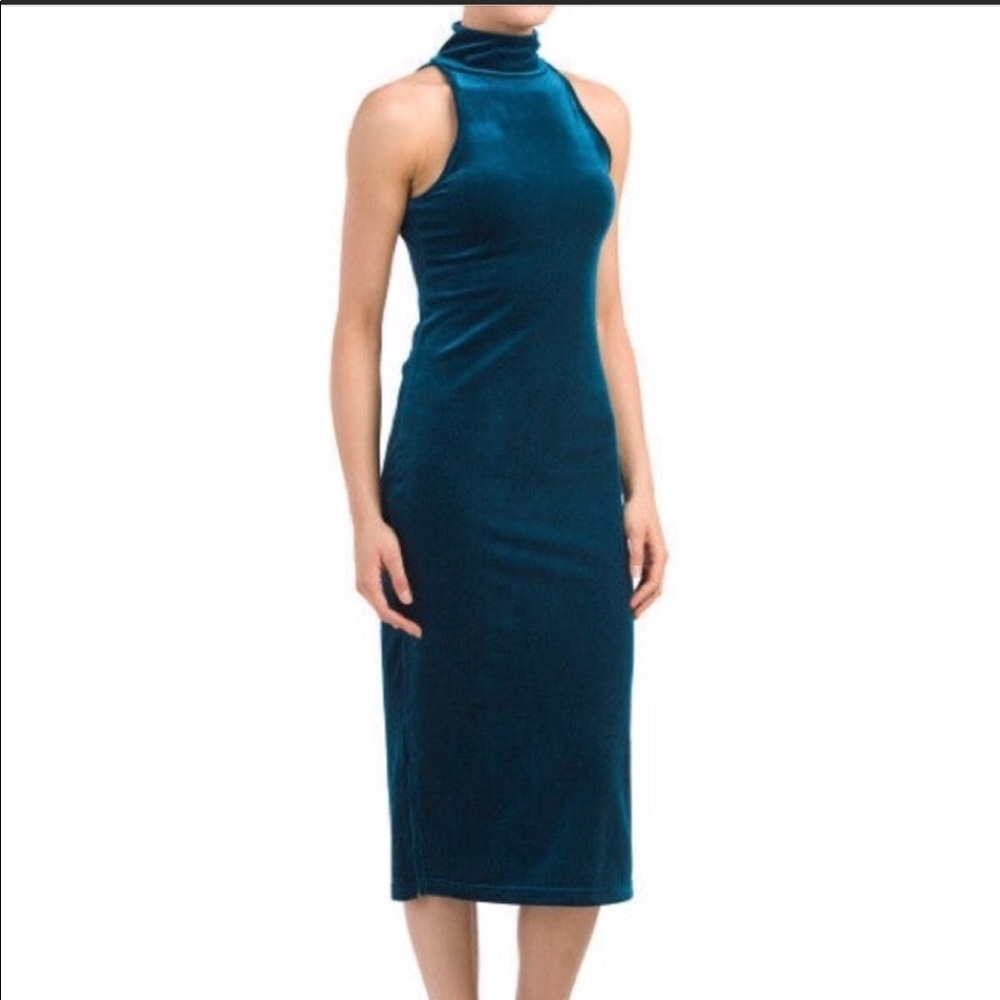 Torn by Ronny Kobo Larissa dress